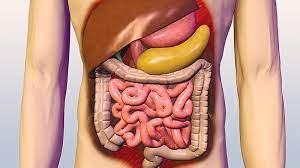 فوائد الياقوت لصحة الجهاز الهضمي