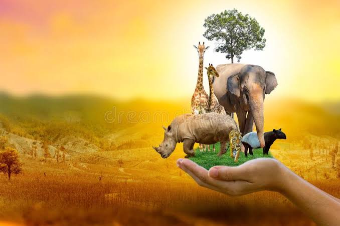 كيفية حماية الحياة البرية