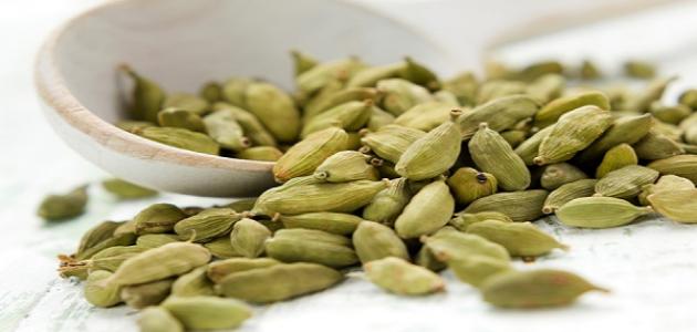 يعالج الحبهان الغثيان والقيء