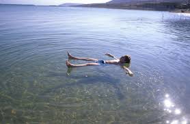 السباحة في البحر في المنام