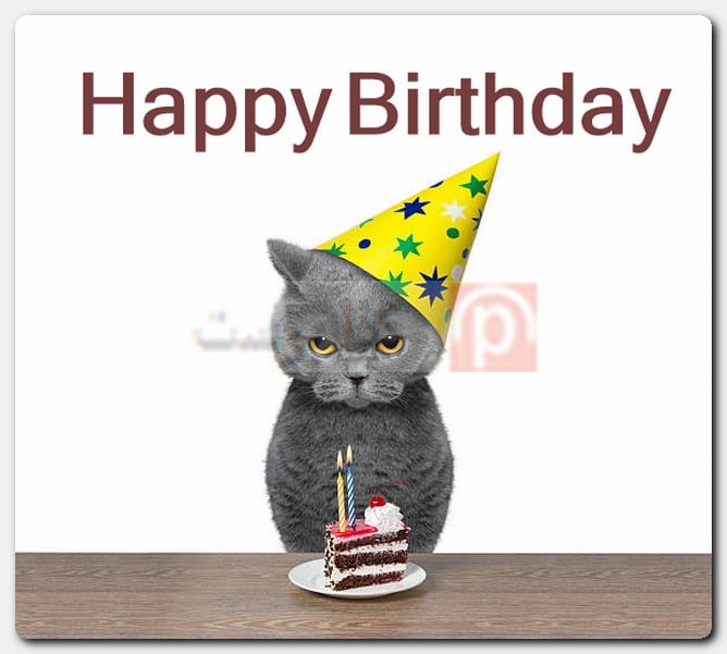 صور Happy Birthday مضحكة
