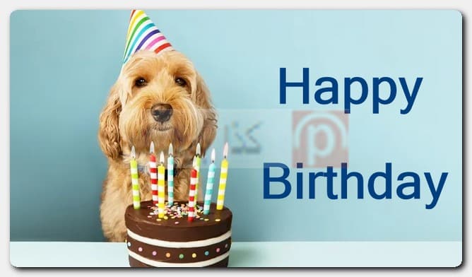 صور Happy Birthday مضحكة