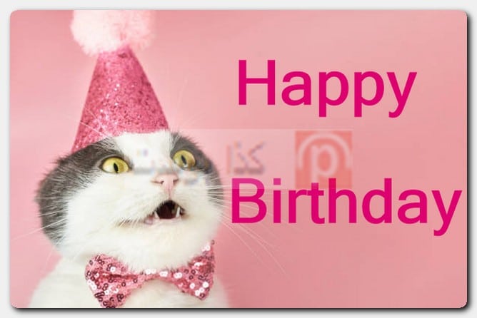 صور Happy Birthday مضحكة