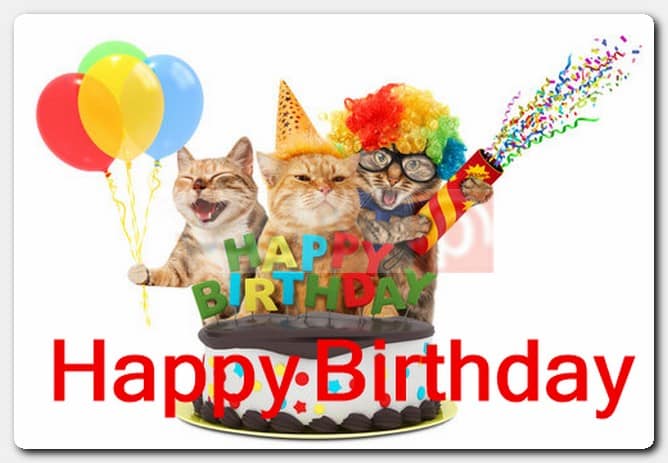 صور Happy Birthday مضحكة