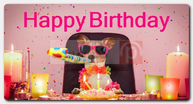 صور Happy Birthday مضحكة