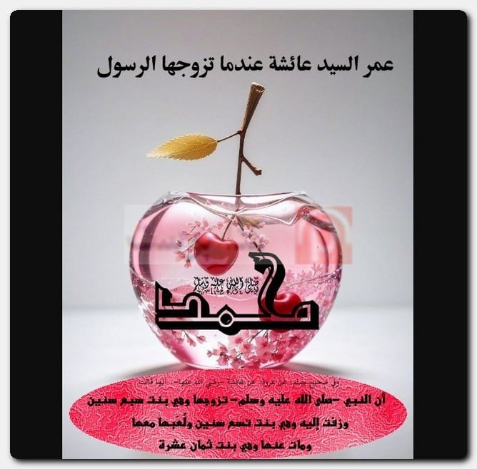 عدد زوجات الرسول صحيح البخاري